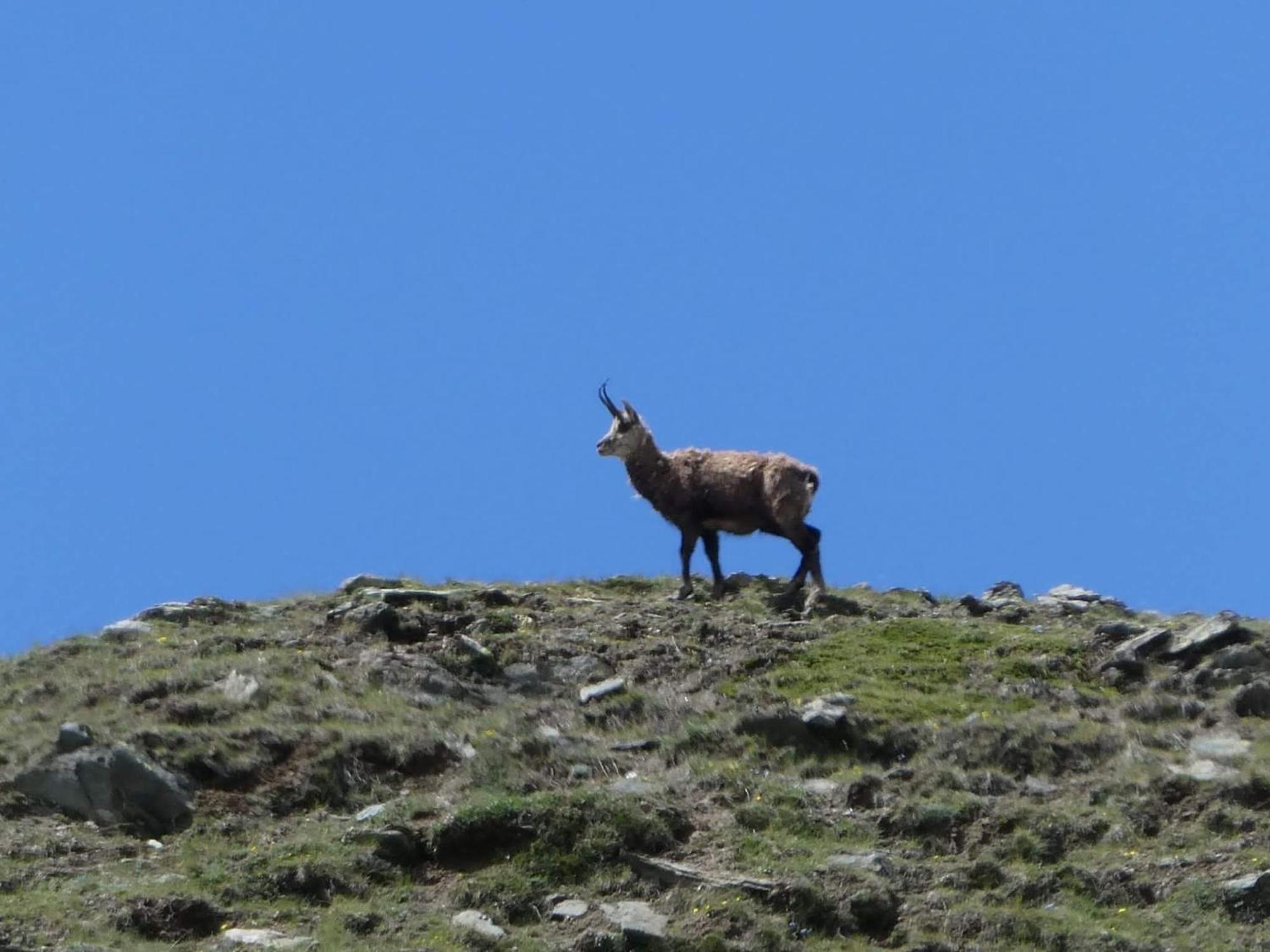 Aosta Maisongnemaz エクステリア 写真