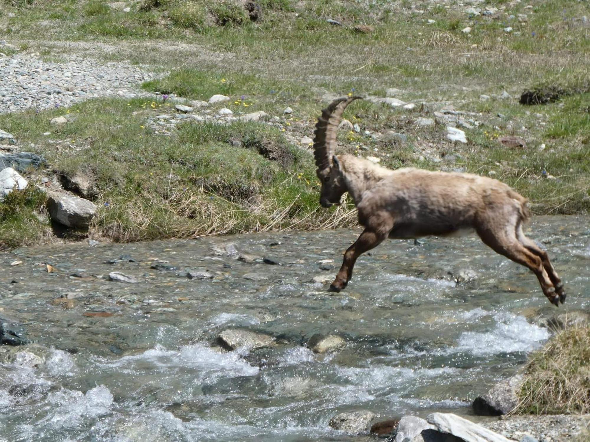 Aosta Maisongnemaz エクステリア 写真